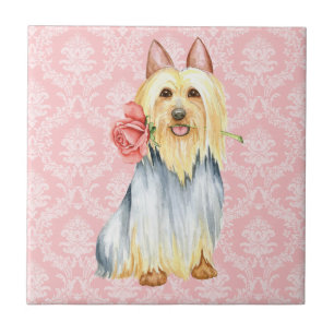 Valentine Rose Silky Terrier Tile Fliese
