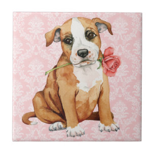 Valentine Rose Stafford Fliese