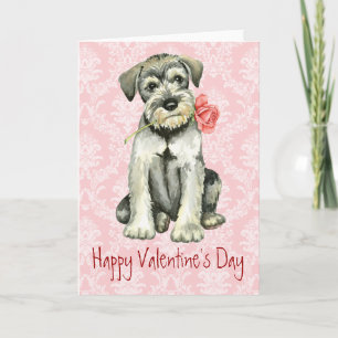 Valentine Rose Standard Schnauzer Feiertagskarte