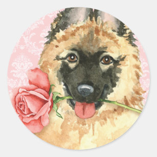 Valentine Rose Tervuren Runder Aufkleber