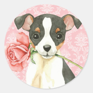 Valentine Rose Toy Fox Terrier Runder Aufkleber