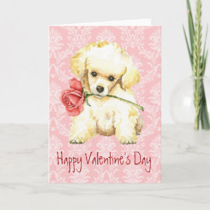 Valentine Rose Toy Poodle Feiertagskarte