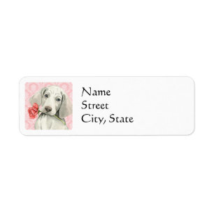 Valentine Rose Weimaraner