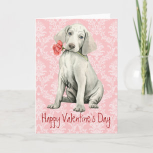 Valentine Rose Weimaraner Feiertagskarte