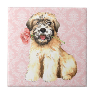 Valentine Rose Wheaten Fliese