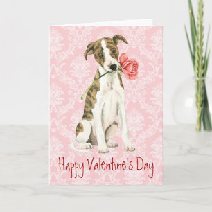 Valentine Rose Whippet Feiertagskarte