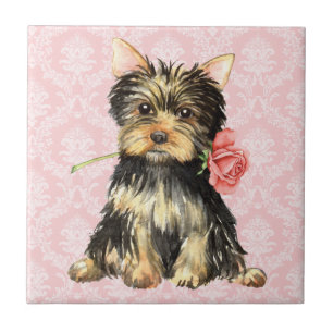 Valentine-Rose Yorkie Fliese