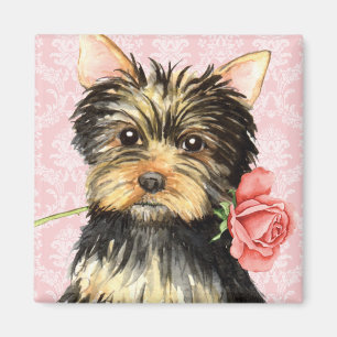 Valentine Rose Yorkie Magnet
