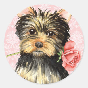 Valentine-Rose Yorkie Runder Aufkleber