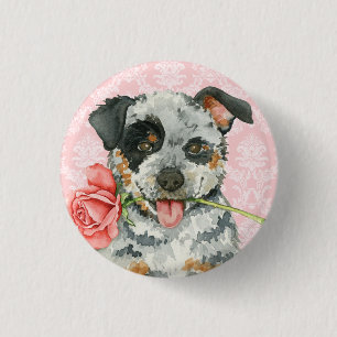 Valentine-Rosen-australischer Vieh-Hund Button