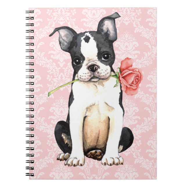 Valentine-Rosen-Boston-Terrier Notizblock (Vorderseite)