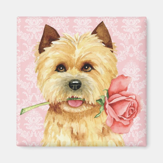 Valentine Rosen Cairn Terrier Magnet (Vorne)