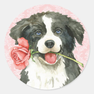 Valentine-Rosen-Grenzcollie Runder Aufkleber