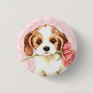 Valentine-Rosen-Kavalier Button