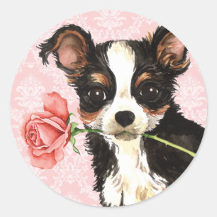Valentine-Rosen-langer MantelChihuahua Runder Aufkleber