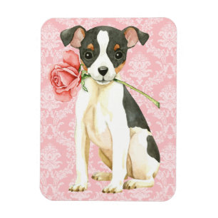 Valentine-Rosen-Spielzeugfox-Terrier Magnet