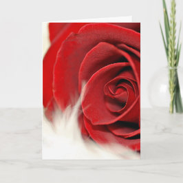 Valentine Rote Rose auf Pelz Karte