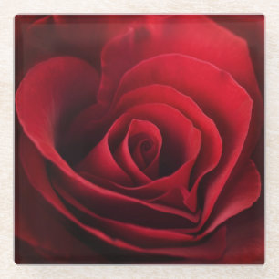 Valentine-Rote Rose Glasuntersetzer