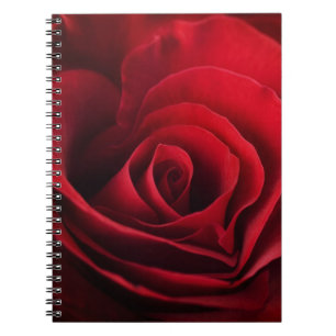 Valentine-Rote Rose Notizblock