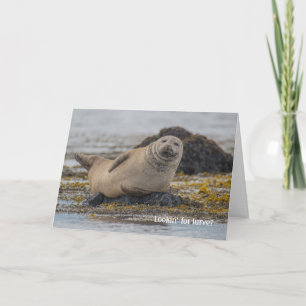 Valentine seal karte