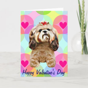 Valentine Shih Tzu Dog Feiertagskarte