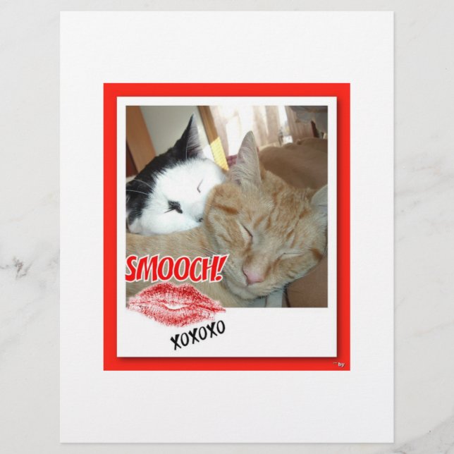 Valentine Tabby Cats Flyer (Vorne)
