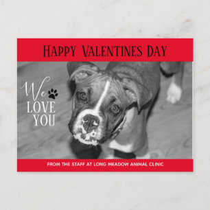 Valentine Veterinary Holiday Cards Postkarte