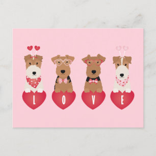Valentine Welsh Wire Fox Terrier Dogs Postkarte