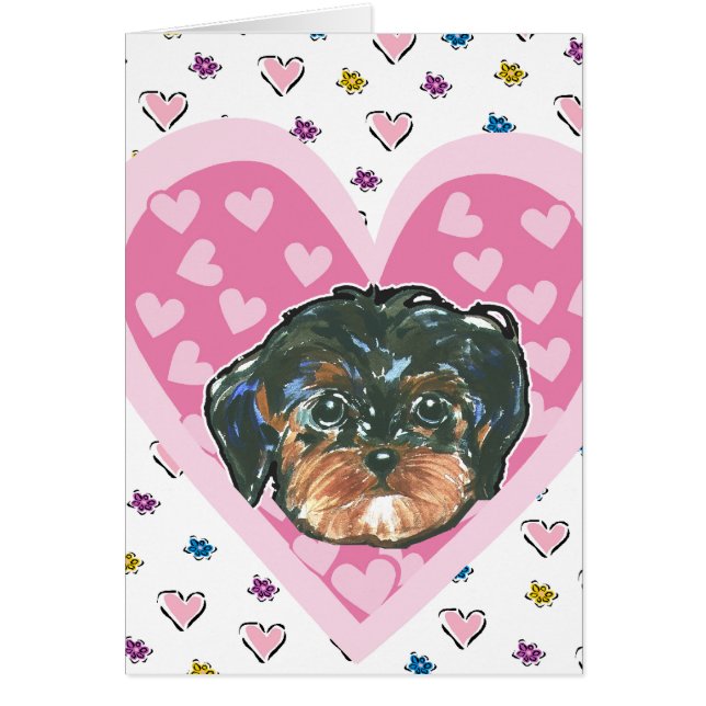 Valentine Yorkie Poo (Vorne)
