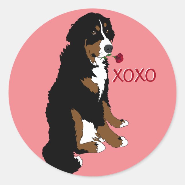 Valentines Bernese Mountain Dog Runder Aufkleber (Vorderseite)