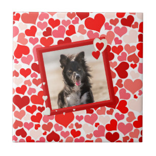 Valentines Border Collie Hunde Herz Fliese