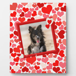 Valentines Border Collie Hunde Herz Fotoplatte