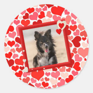 Valentines Border Collie Hunde Herz Runder Aufkleber