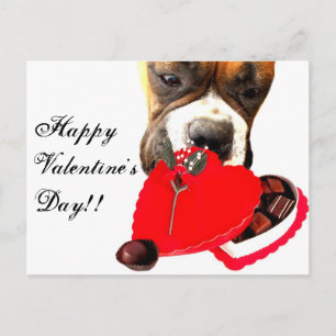 Valentine's Day Boxer Hundekarte Feiertagspostkarte