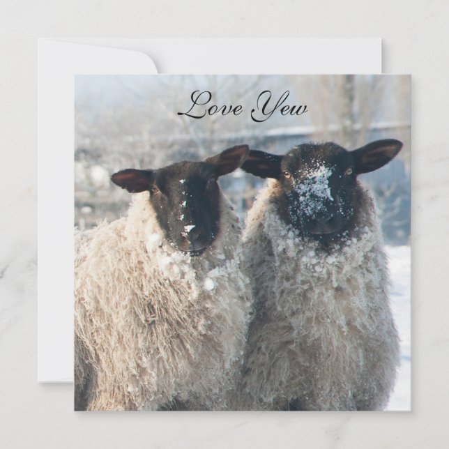 Valentine's Day Card Karte (Vorderseite)