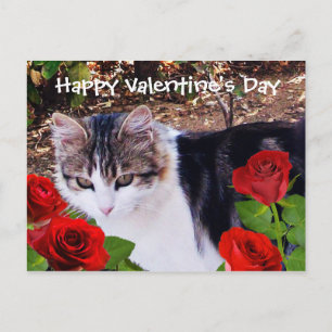 VALENTINE'S DAY CAT WITH RED ROSES FEIERTAGSPOSTKARTE