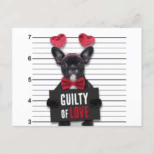 Valentine's Day Guilty Liebe Hund Funny Mugshot Feiertagspostkarte