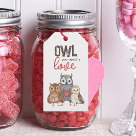 Valentine's Day Owls Niedliche Gift Tags Geschenkanhänger