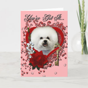 Valentines - Schlüssel zu meinem Herzen - Bichon F Feiertagskarte