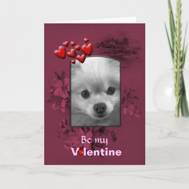 Valentinin Spitz mit Niedlichen Augen Feiertagskarte (Vorderseite)