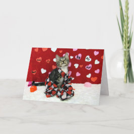 Valentinkarte des Bandit - Katze / Kätzchen Feiertagskarte