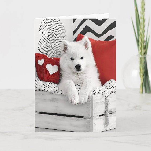 Valentinkarte für Samoyed Hunde Dankeskarte (Vorderseite)