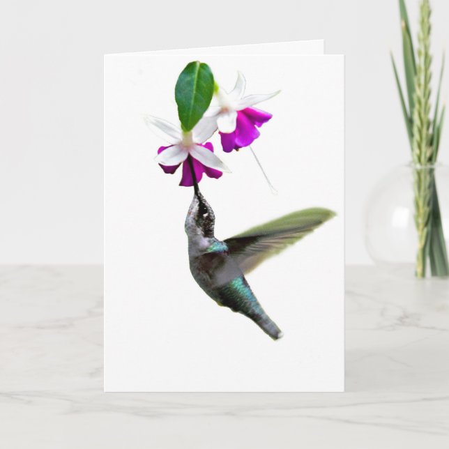Valentinkarte Hummingbird Feiertagskarte (Vorderseite)
