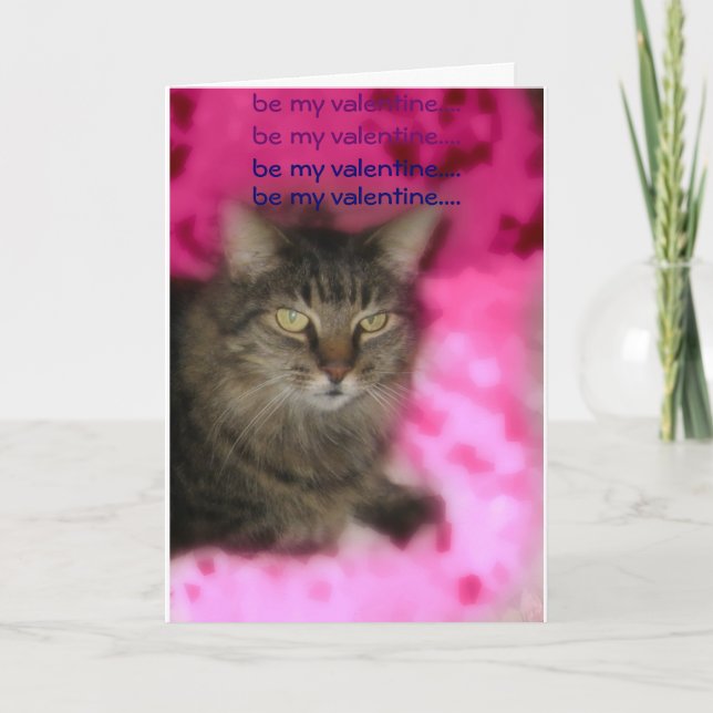 Valentinkatze Feiertagskarte (Vorderseite)