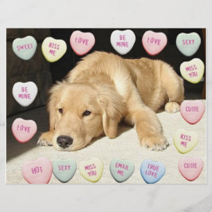 Valentins Golden Retriever Welpe Flyer