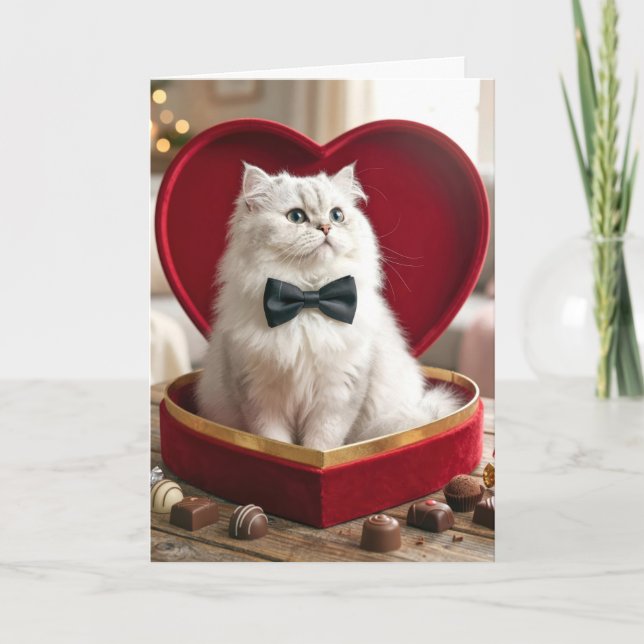 Valentins-Perserkatze in Schachtel mit Süßigkeiten Karte (Vorderseite)