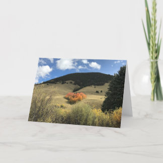 Valentinsgruß-Karte mit Herz-geformten Espen Karte