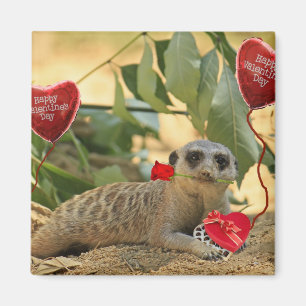Valentinsgruß Meerkat Magnet