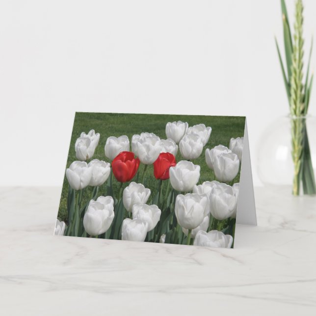 Valentinsgruß-Tulpen Feiertagskarte (Vorderseite)