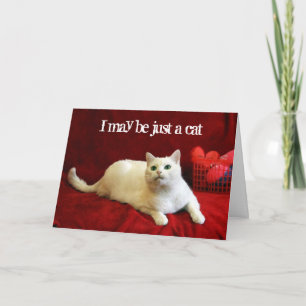 Valentinsgruß von der Katze Feiertagskarte